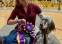 Kelyric Living the Dream at Fourwinds