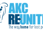 REUNITE_Two-Blue-Color-Logo