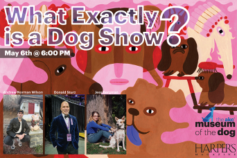 What_Exactly_is_a_DogShow-email-graphic