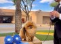 Artistrys Aslan All That Is Good