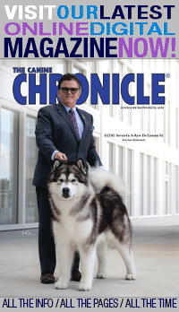 CC_May_2026_cover