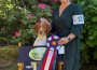 Dogwood Hollow The Patriot