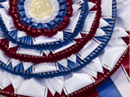 BIS-Ribbon5 BIS-Ribbon5