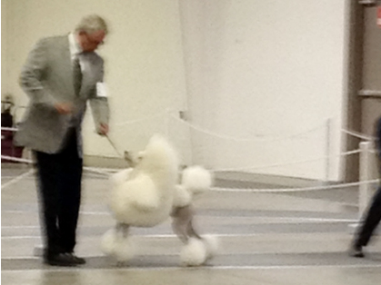 GCh-Brighton-Lakeridge-Encore